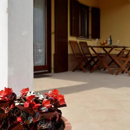 Oliva Apartment Vizinada